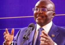 You can’t fix trade deficits with tarrifs – Bawumia cautions
